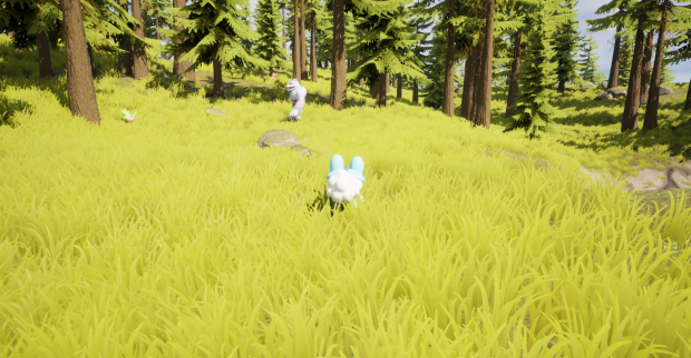 The Start Of A Great Adventure