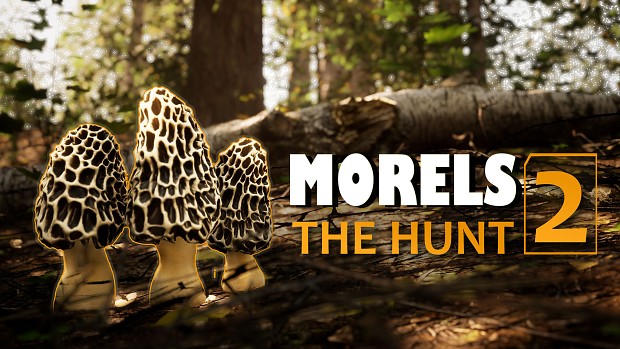 Announcing Morels: The Hunt 2. This time the hunt is worldwide!