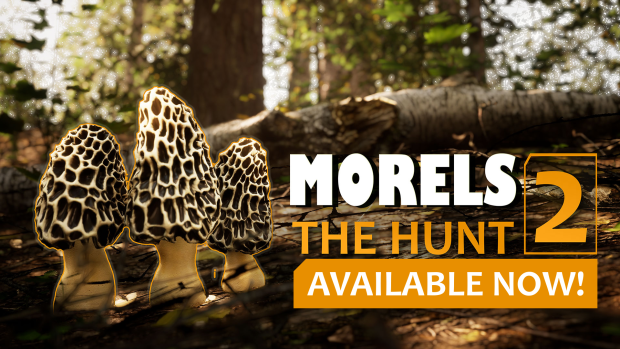 Morels: The Hunt 2 is Officially Released on Steam!