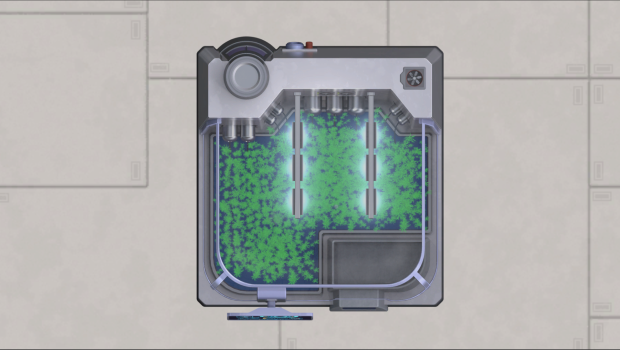 Hunger, food and hydroponics [Update]