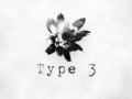 Type 3 Update #2