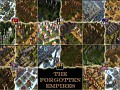 The Forgotten Empires 1.3 released