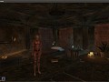OpenMW 0.12 Released!