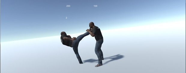 fistfighineacces