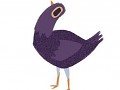 Purple Dove Invasion