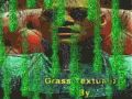 GrassTextualizer_ver_1+Bonus(Texture_Pack_1)