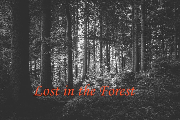 Lost in the Forest v1.0(Old version)
