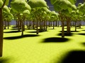 Forest Early Access Version 1