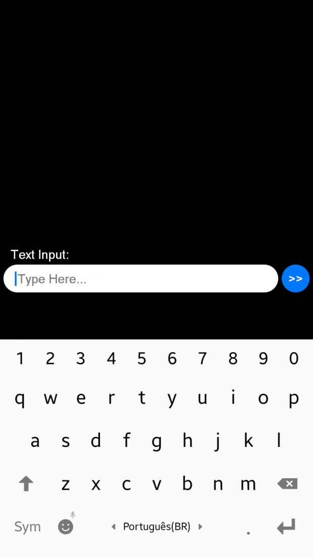 Text Input