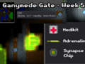 Ganymede Gate - linux x86_64 - week5