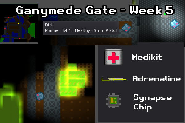 Ganymede Gate - linux x86_64 - week5