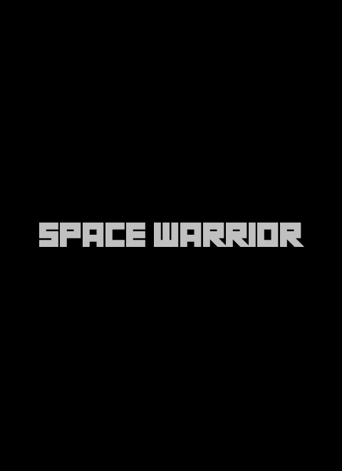 Space Warrior (Windows)