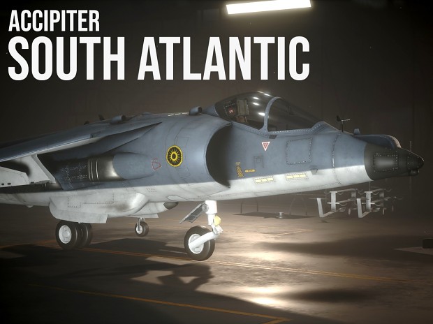 Accipiter South Atlantic