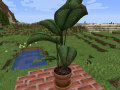 CSS Potted Plant 1.0.1