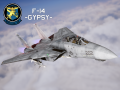 F-14 -Gypsy-