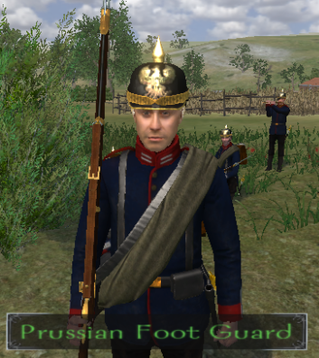 (OLD OUTDATED) Napoleonic Wars Blood and Iron Prussian Reskin