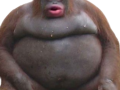 Apeman
