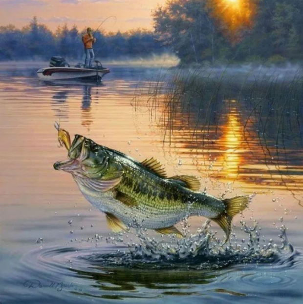 Real fishing 2.8