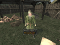 subjectively edited VC Balance Mod 13 + Armor Mod + a little bit more realism