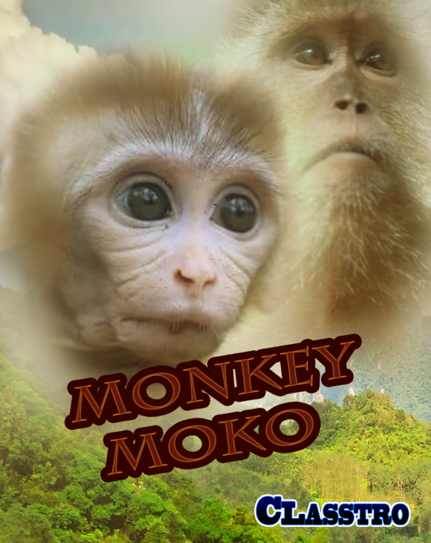 MonkeyMoko