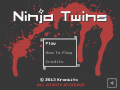 Ninja Twins for Windows