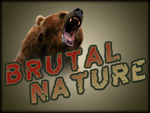 Brutal Nature Client 0.31