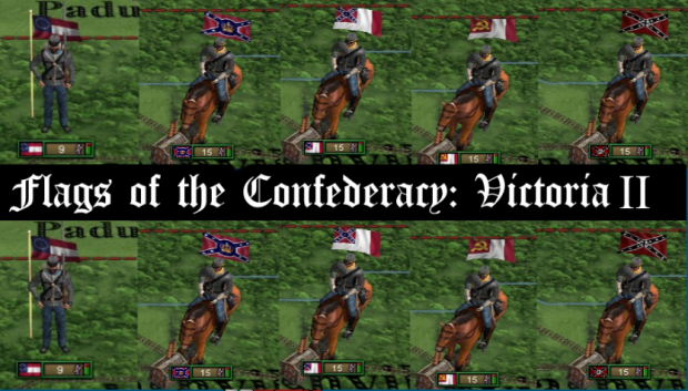 New Flags for the CSA v1.0