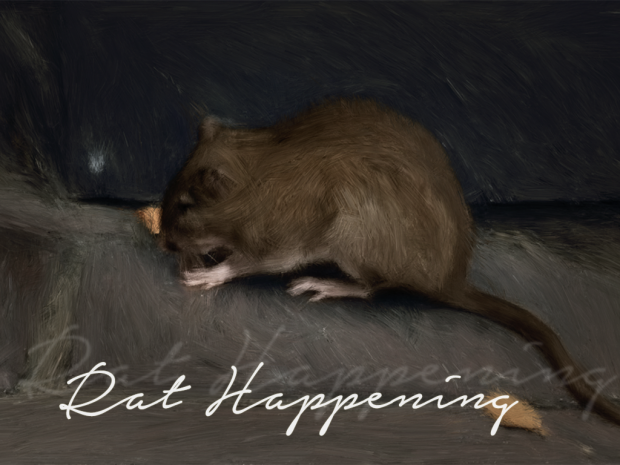 Rat Happening (Linux)