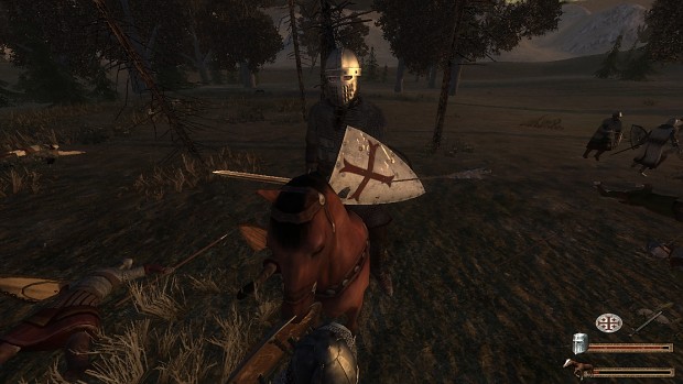 Realism ENB shaders for Ivanhoe mods