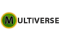 Multiverse MMO Development Platform