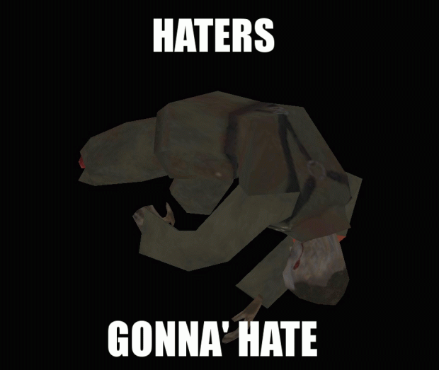 Haters gonna' hate