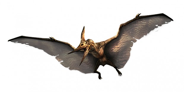 Pteranodon render