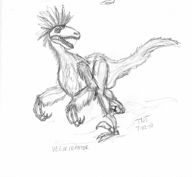 Raptor With Feathers