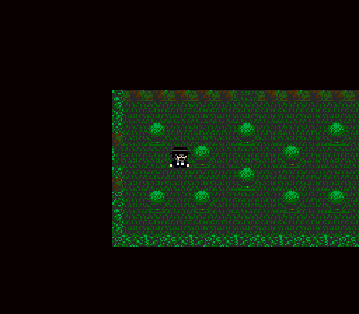 Forest dungeon from the inside