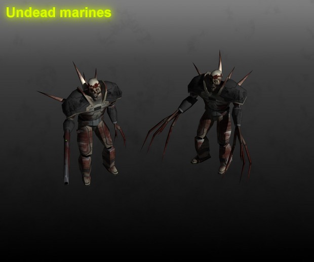 Risen undead marines