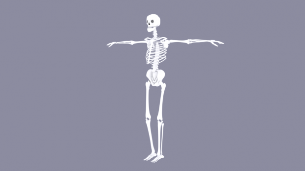 SkeletonWIP