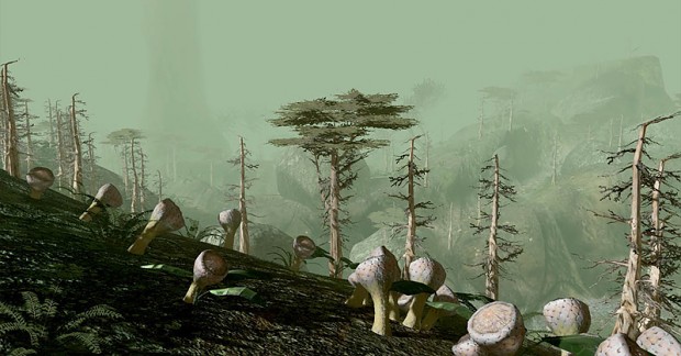 Forest Biome