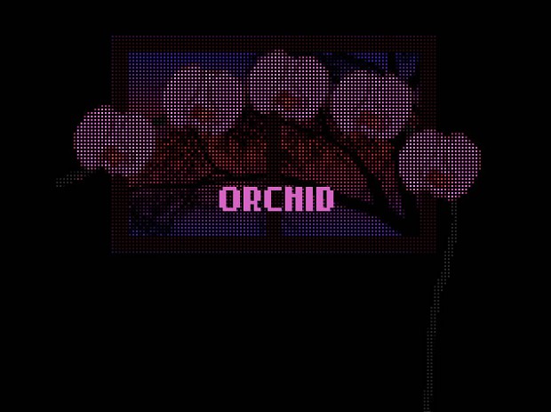 Orchid - Screenshots