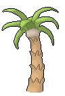 A palm tree