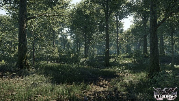 Updated look of the forests