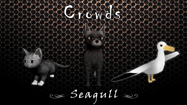 Crowds - Animals : Seagull