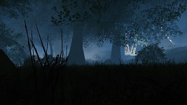 Aporia: codename Darkmist Forest