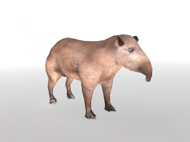 Tapir Concept Art