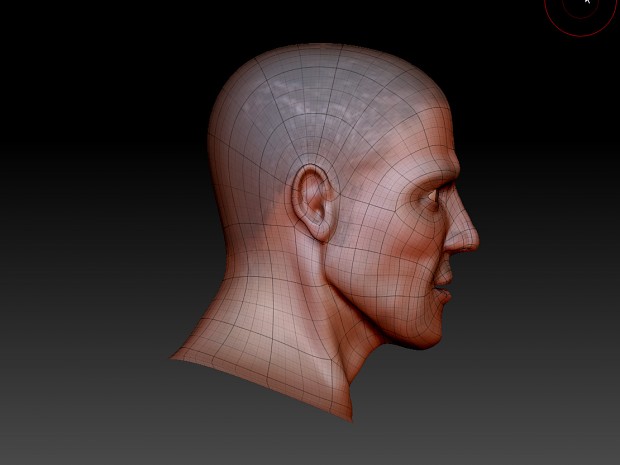 head topology 2 - Zbrush
