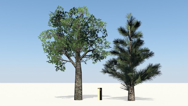 Tree Size
