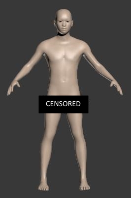 Male Player Model