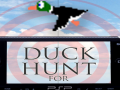 Duck Hunt PSP