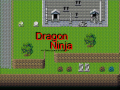 Dragon Ninjas
