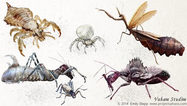 Bug Concepts