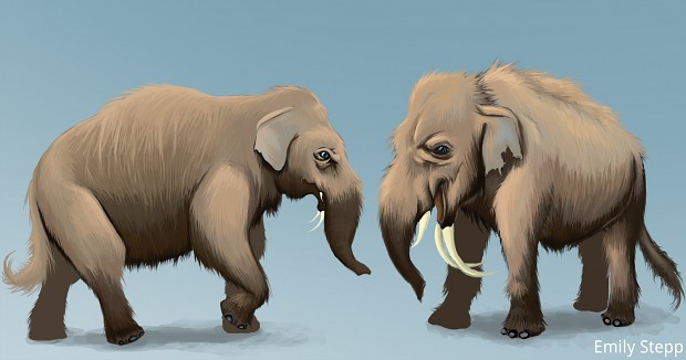 Mammoth Concept
